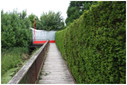 Der Weg zum Westzipfel f�hrt �ber diesen Bohlenweg