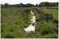 Auf der angrenzenden Wiese befindet sich der "echte" tiefste Punkt der Republik