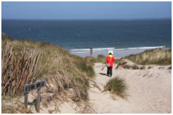 Die Tour f�hrt durch die D�nen und dann ca. 2 km am Strand entlang