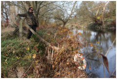 Brigitte ist am Ziel